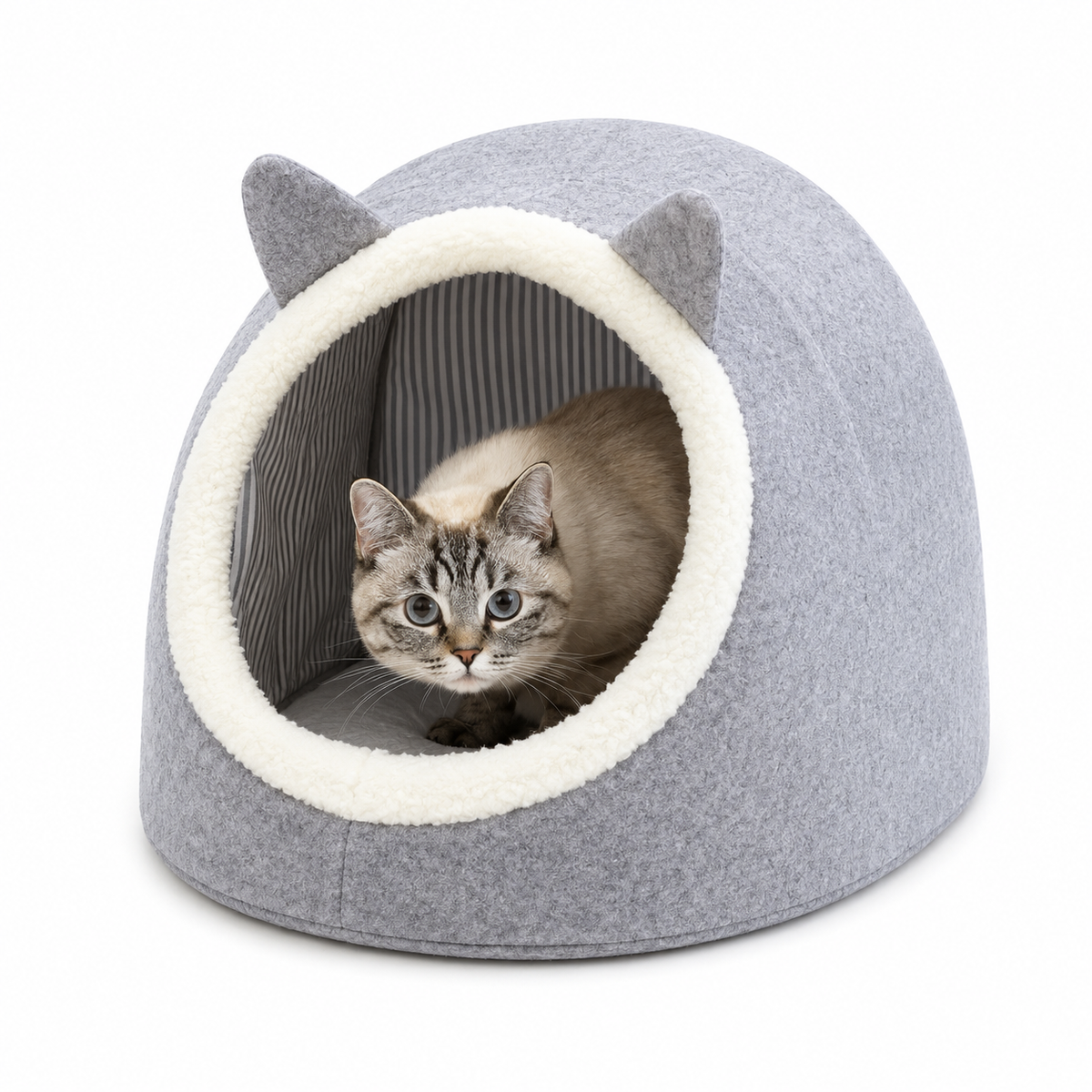 ALAS Cat & Dog House
