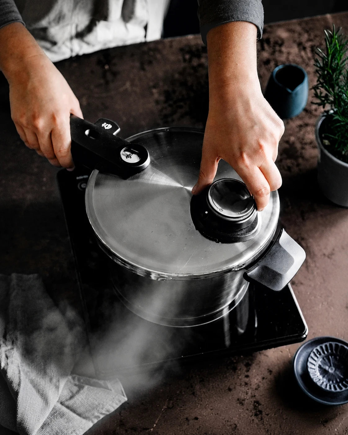 Fissler Vitavit Premium 6 L Stainless Steel Pressure Cooker