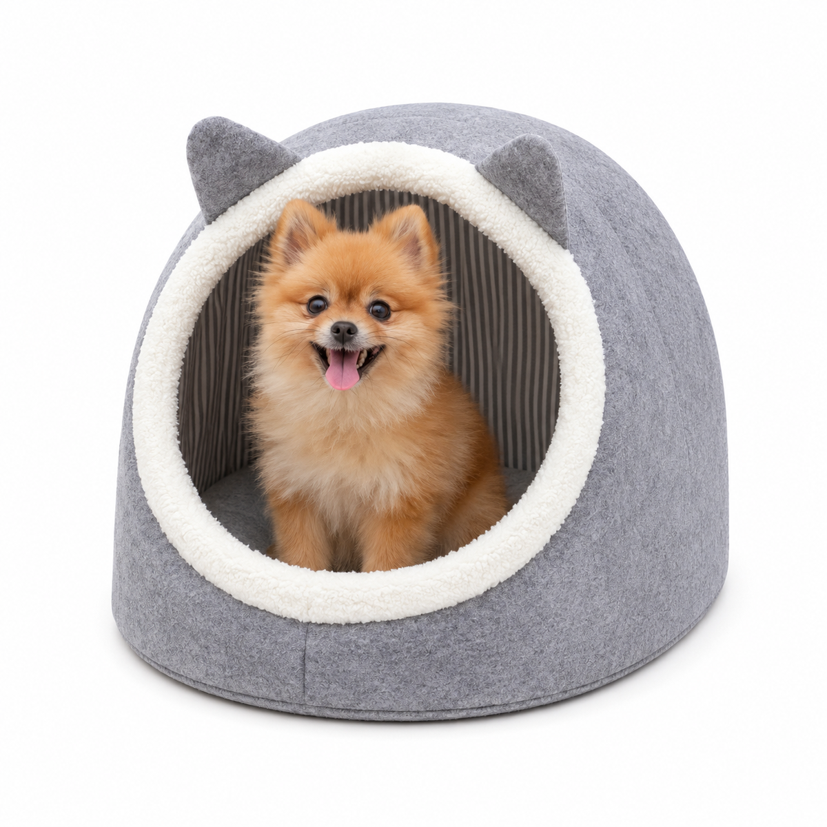 ALAS Cat & Dog House
